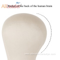 Cork Canvas Block Wig Mannequin Head In Store